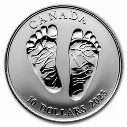 Srebrna Moneta Canada: Welcome to the World $10 2023 24h