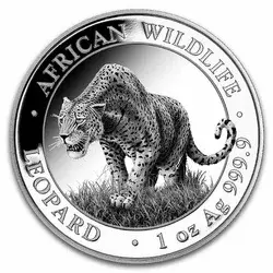 Srebrna Moneta Somalijski Leopard 2023 1 uncja 24h