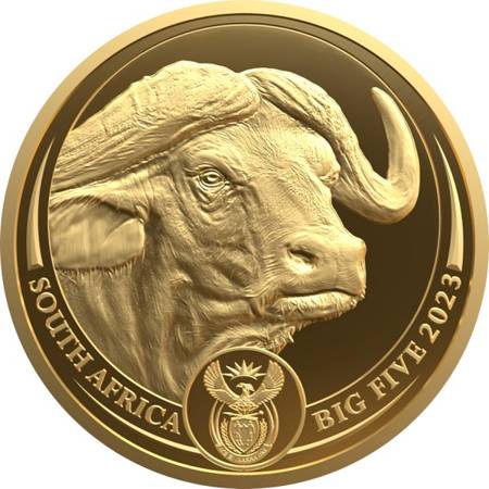 Złota Moneta Big Five Buffalo 1/4 uncja PROOF NOWOŚĆ