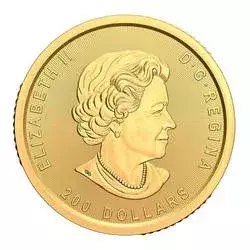 Złota Moneta Gorączka Złota Klondike 2021 1 uncja 